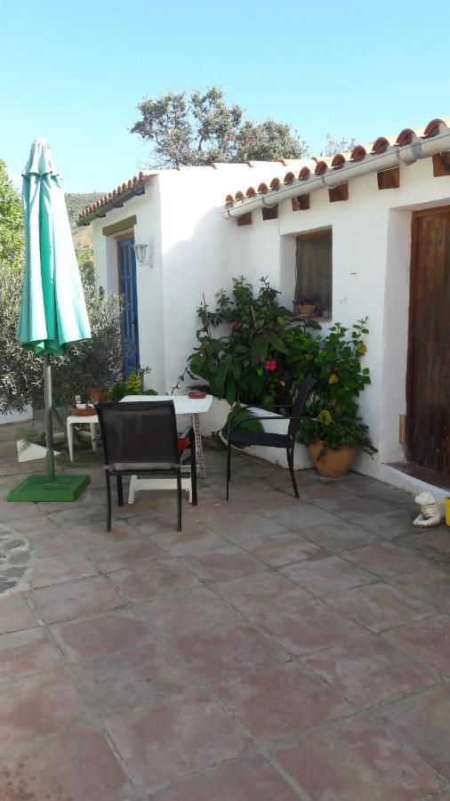 Casa Patricia Lejlighed Málaga