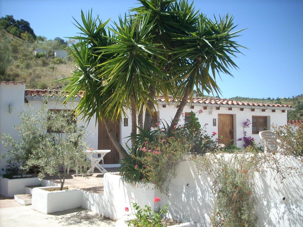 Lejlighed Casa Patricia *