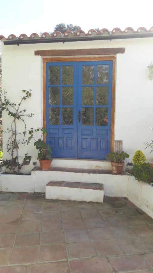 Lejlighed Casa Patricia