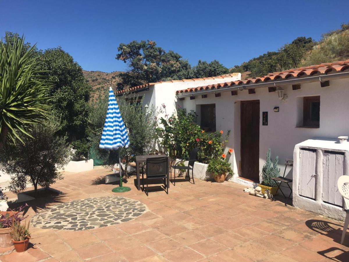 Lejlighed Casa Patricia *